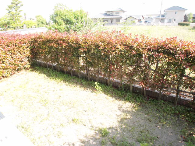 Garden. I can, such as home garden because it is spacious