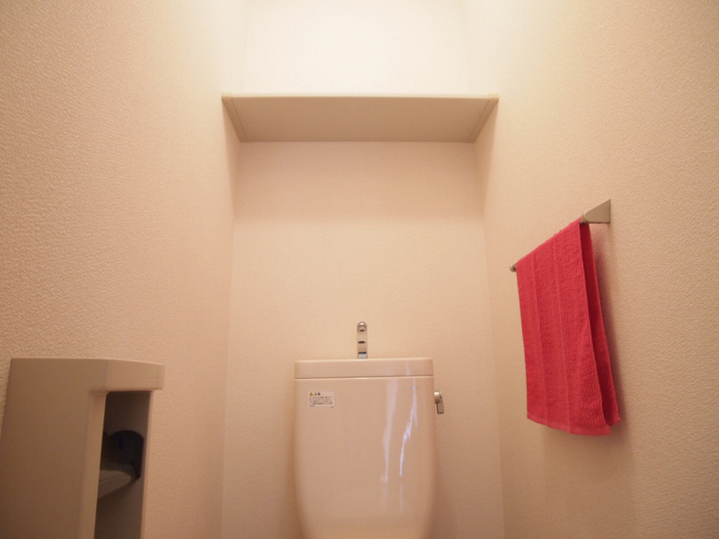 Toilet. It will put many things on the shelves of the above