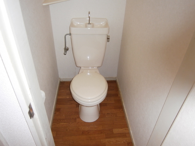 Toilet. Western-style toilet