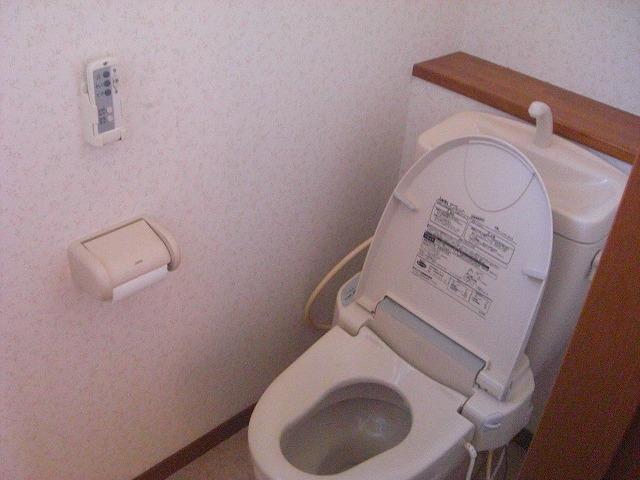 Toilet. Indoor (September 2013) Shooting