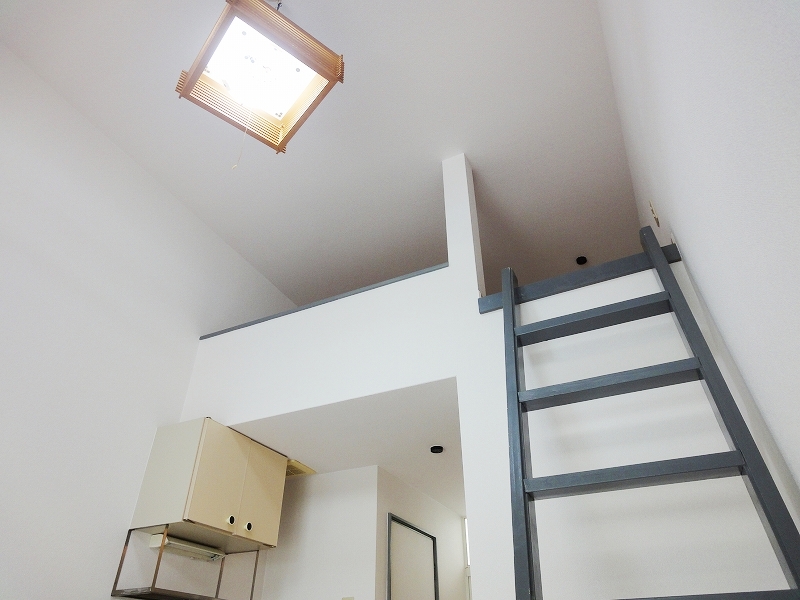 Living and room. Day is good with a skylight