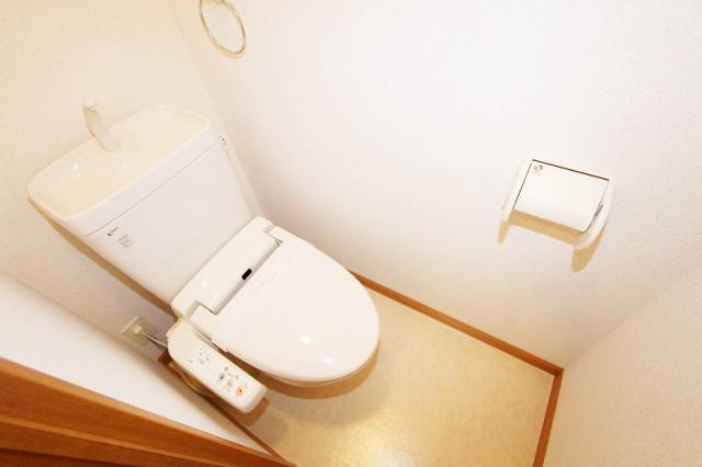 Toilet. Bidet with toilet