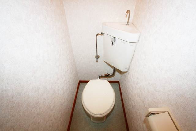 Toilet. Toilet