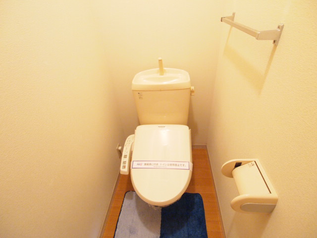 Toilet. It is so comfortable Washlet is.