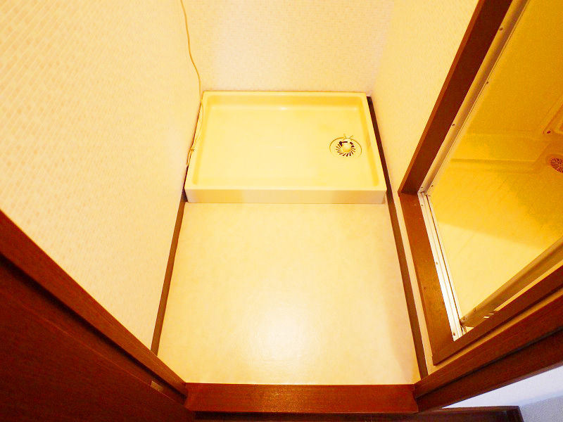 Other room space. It can be used as a dressing room with washing machine inside the room