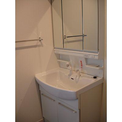 Wash basin, toilet. Easy-to-use shampoo dresser!