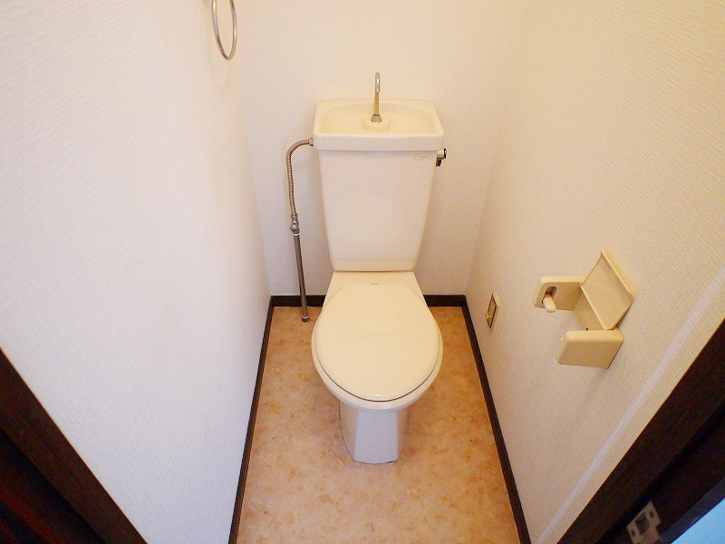 Toilet. Spacious toilet