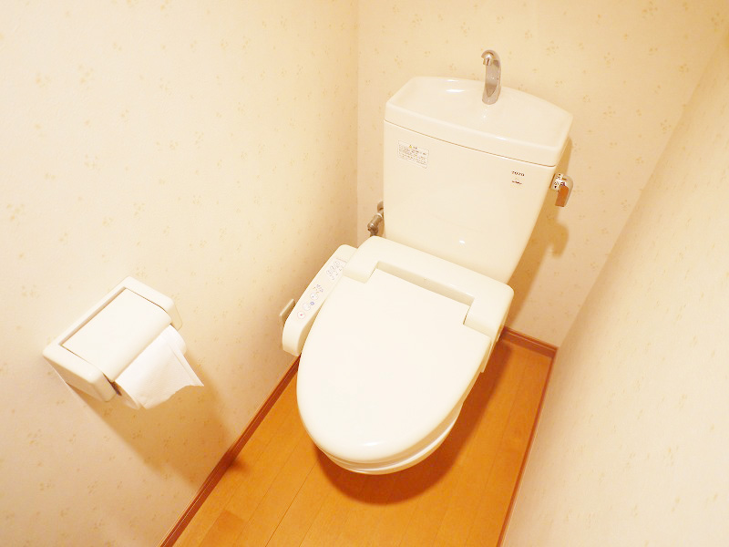 Toilet. Bidet with toilet