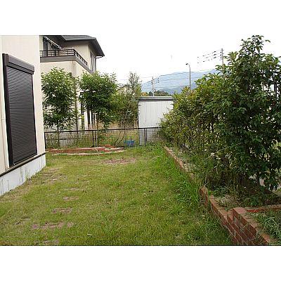 Garden. Spacious garden looks attractive