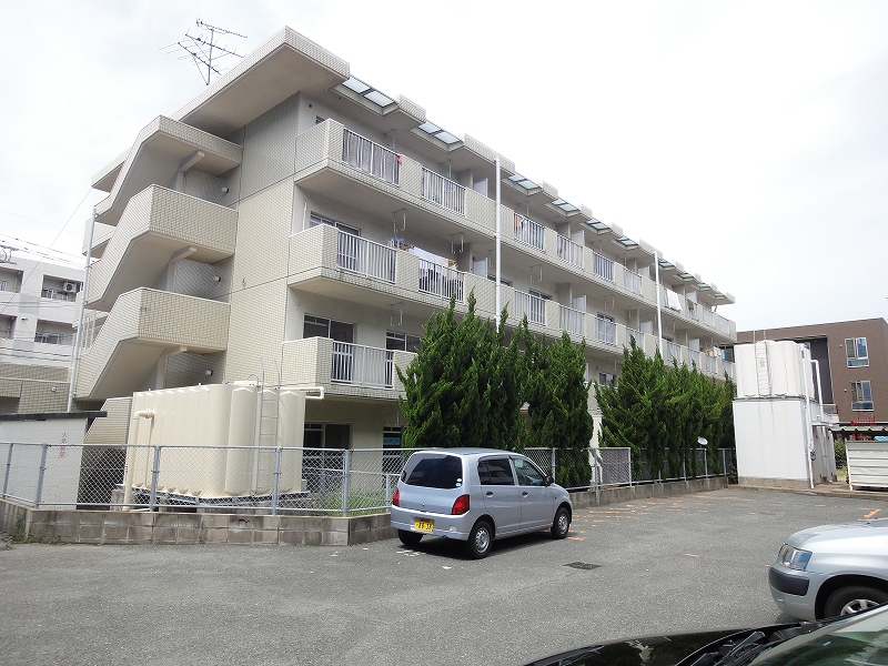 Building appearance. All houses are facing south