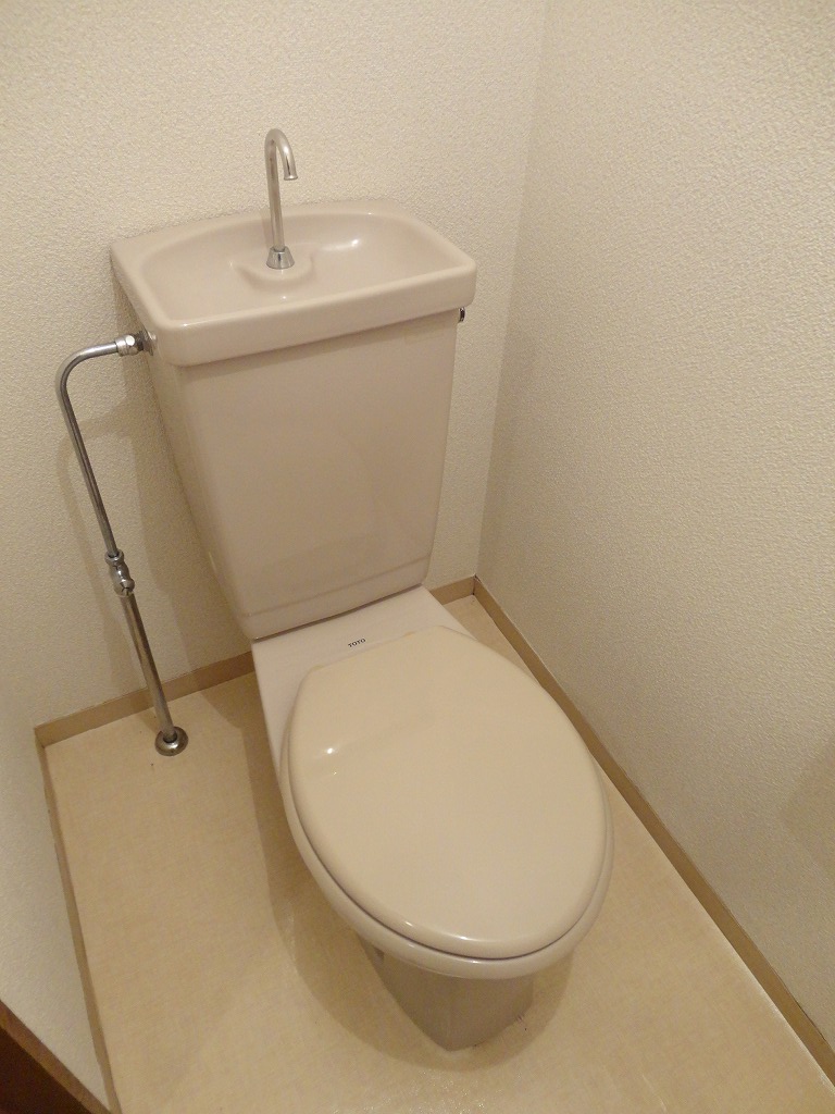 Toilet. Clean toilet