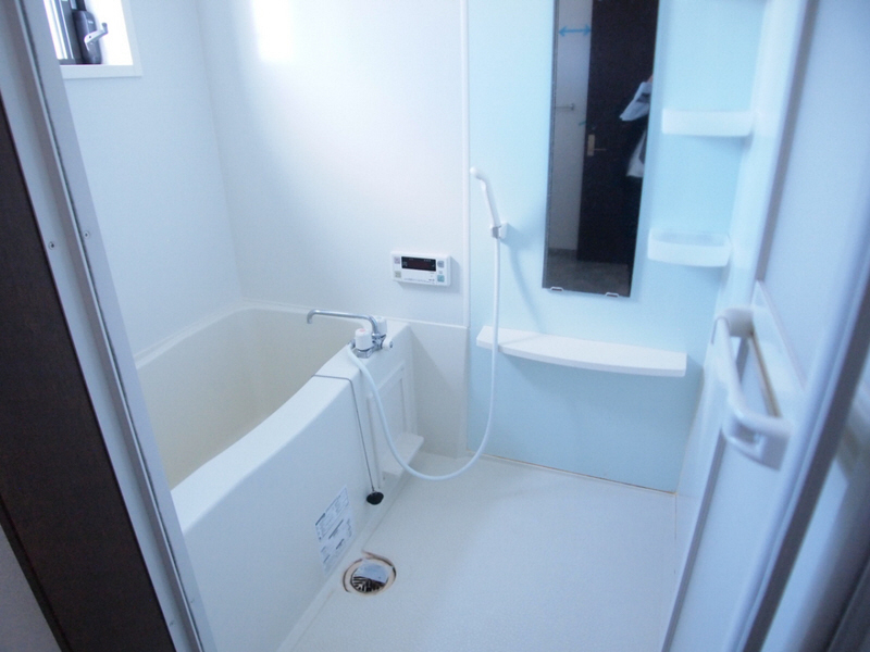 Bath. Bright and spacious bathroom