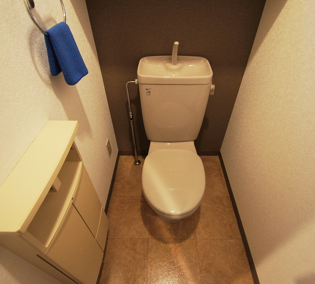 Toilet. Photos will be isomorphic type