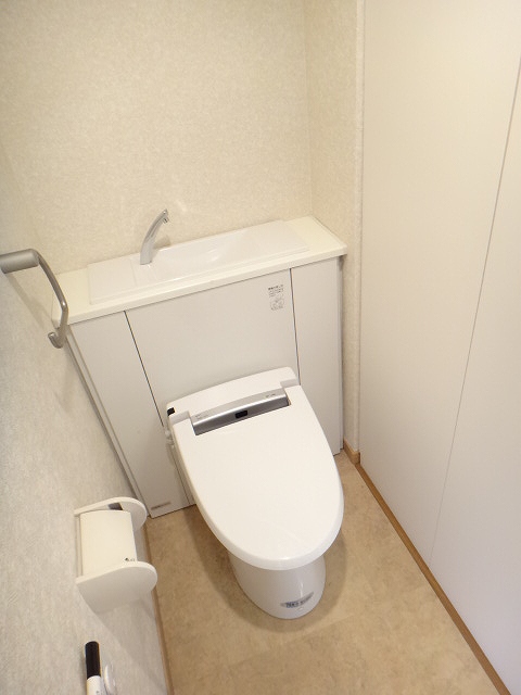 Toilet. Stylish built toilet overflowing also design ☆ 