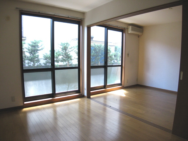 Other room space. South-facing bright living