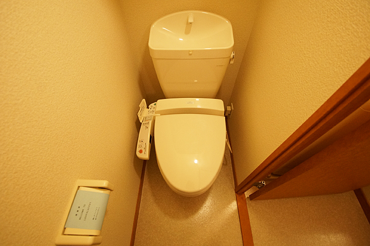 Toilet. Warm water washing toilet seat