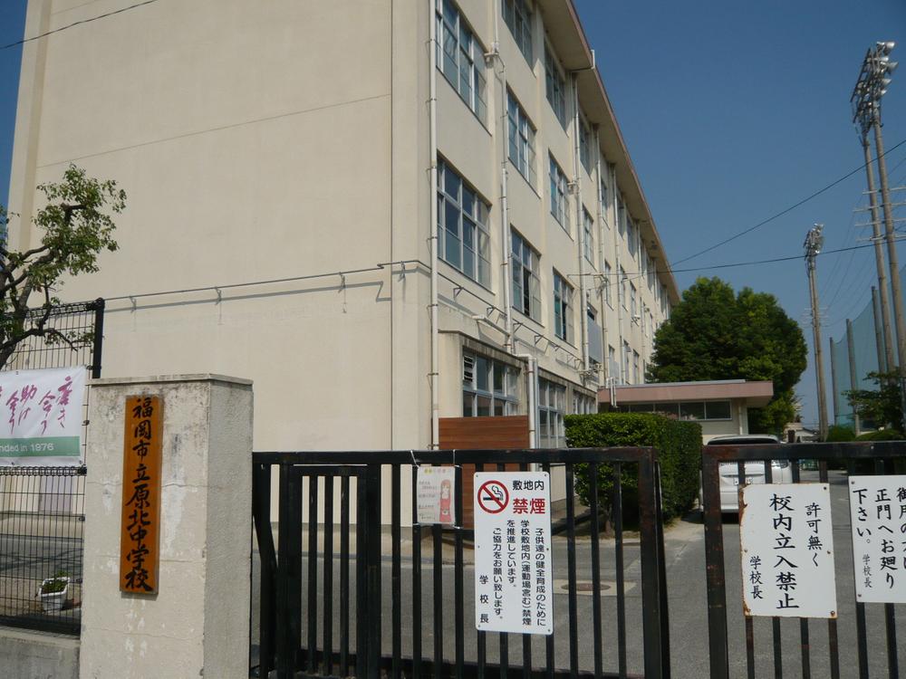 Junior high school. Harakita until junior high school 335m