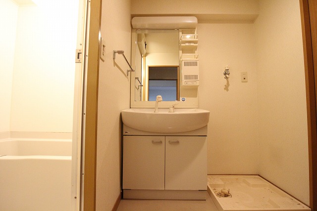 Washroom. Shampoo dresser