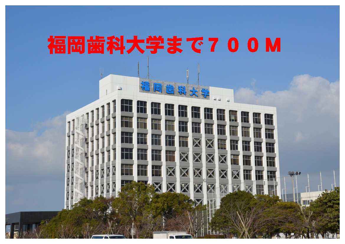 University ・ Junior college. Fukuoka Dental College (University ・ 700m up to junior college)