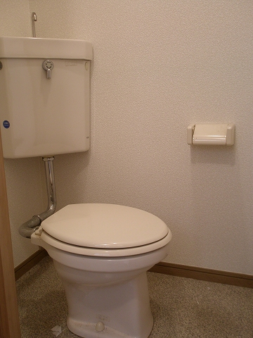 Toilet. Toilet also loose ☆