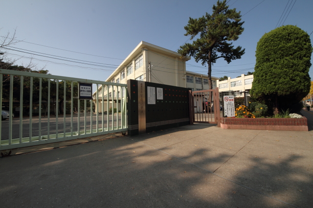 Primary school. 441m to Fukuoka Municipal Momochi elementary school (elementary school)