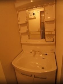 Washroom. Shampoo dresser