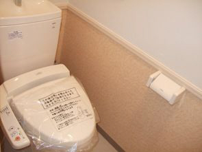 Toilet. Hot-water heating toilet seat of further active in the winter