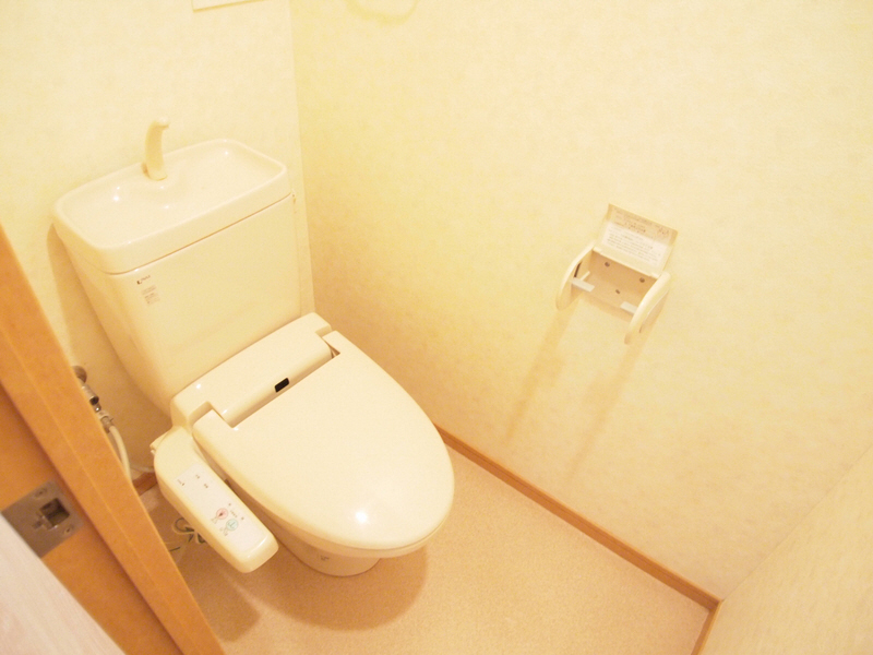 Toilet. Toilet of intimate space