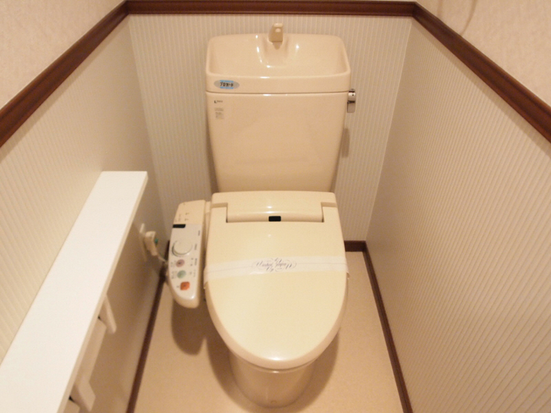 Toilet. Toilet with a bidet