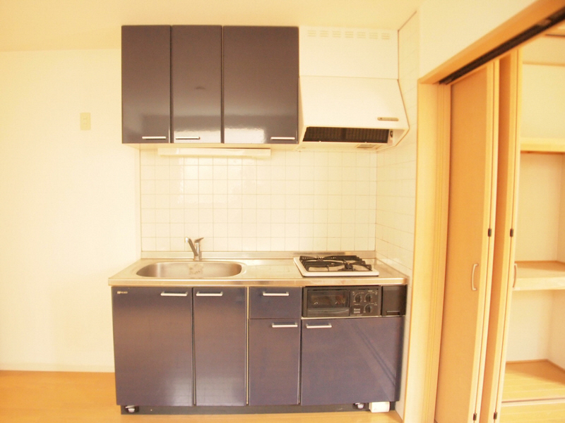 Kitchen. Design kitchen with a two-necked