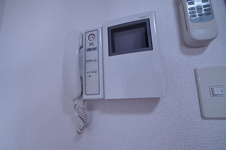 Security. Monitor with intercom