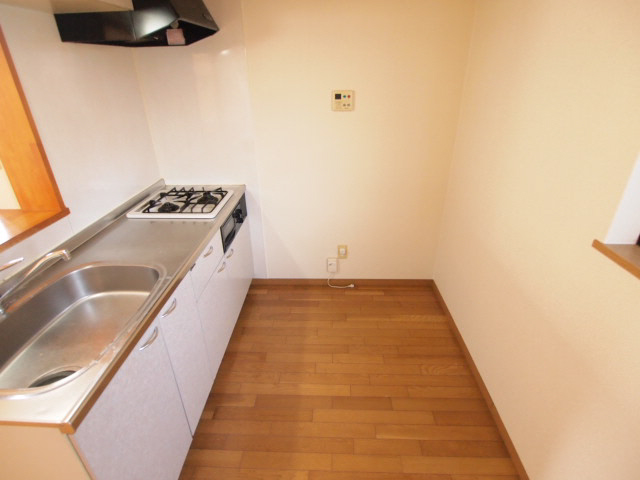 Other. There is also a spacious kitchen space ~