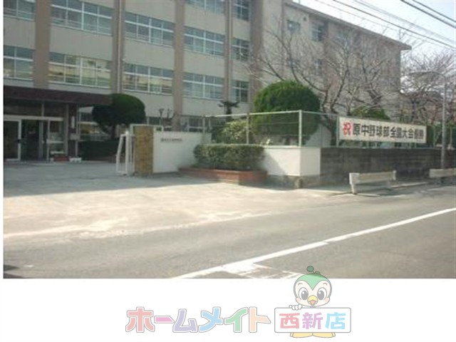 Junior high school. 528m to Fukuoka Tachihara junior high school (junior high school)