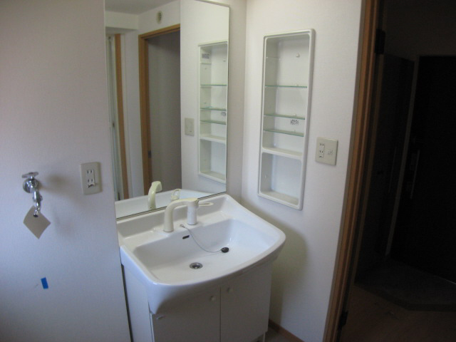 Washroom. With a convenient shelf to shampoo dresser