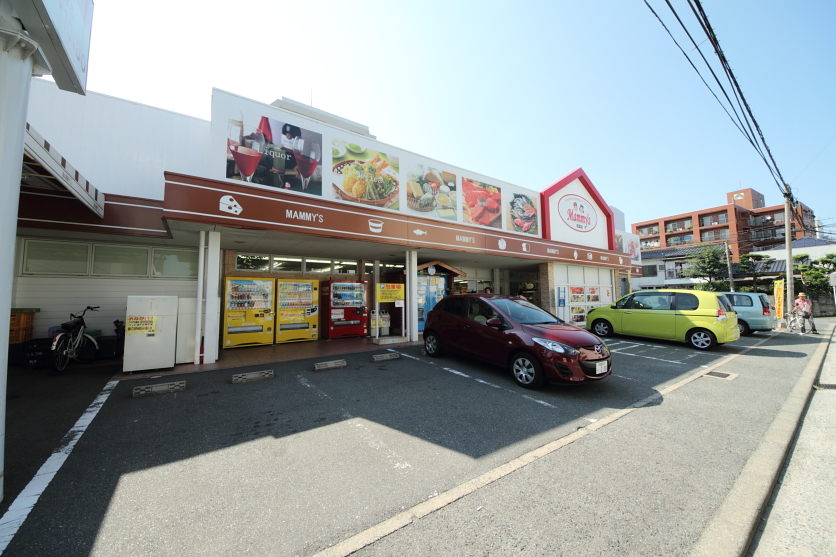 Supermarket. Mommy's autumn leaves store up to (super) 500m