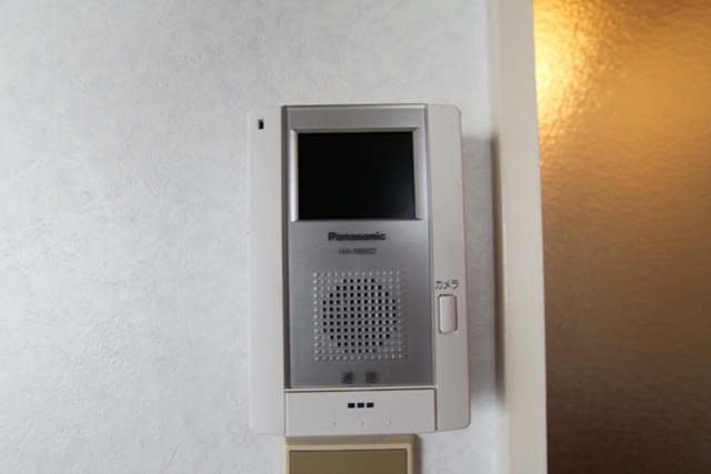 Security. TV monitor phone