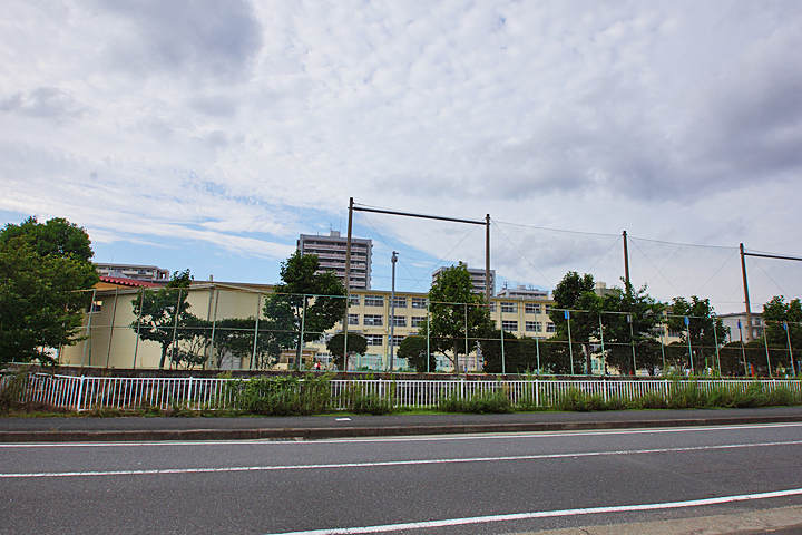 Primary school. Deer field elementary school (elementary school) up to 100m