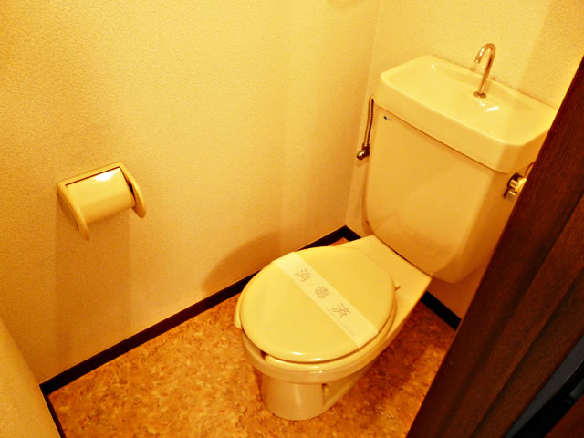 Toilet. Toilet