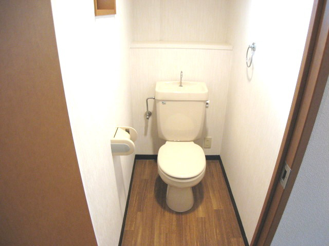 Toilet. It is a toilet with a clean