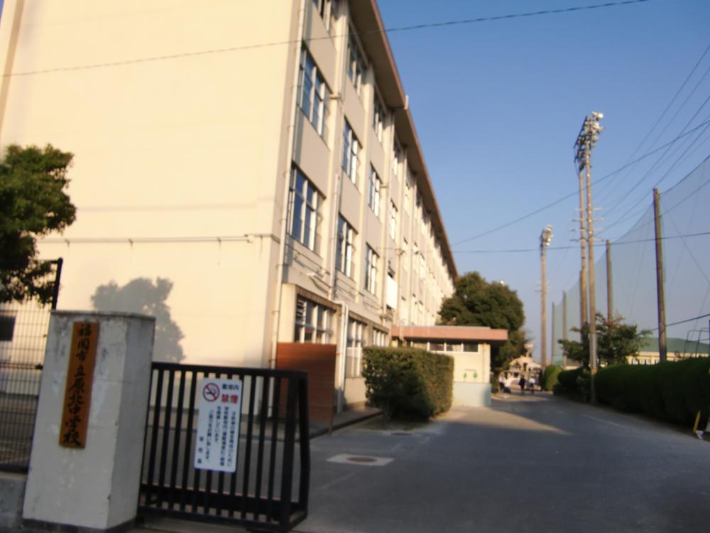 Primary school. Harakita until junior high school 310m