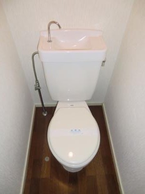 Toilet. Toilet (photo another type)