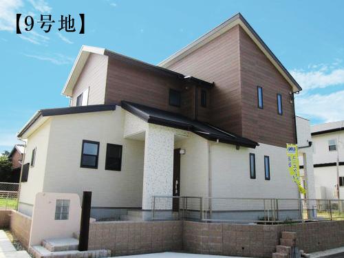 Local appearance photo. No. 9 area appearance