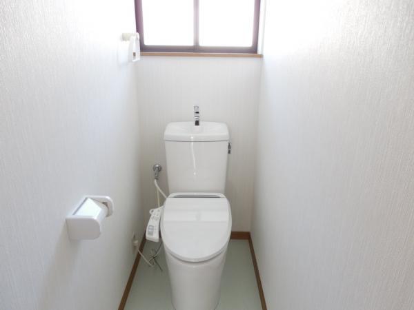 Toilet. Second floor toilet is a new article