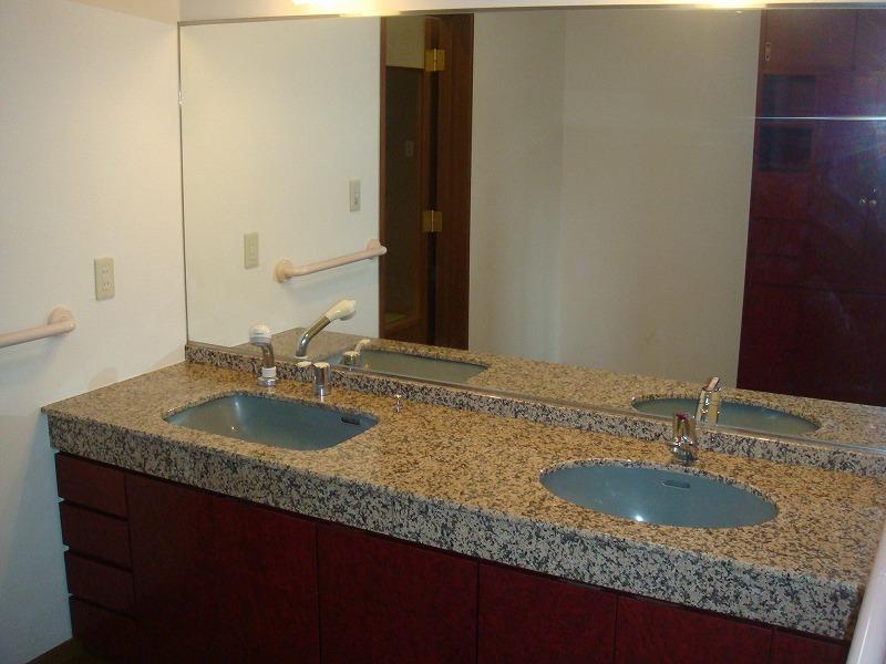 Wash basin, toilet. Indoor (July 2011) shooting