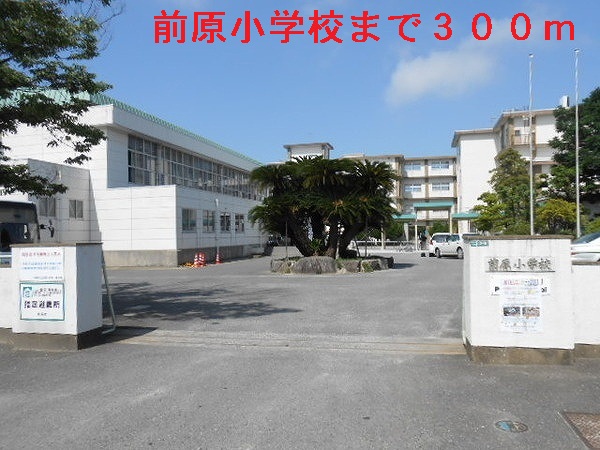 Primary school. Maehara 300m up to elementary school (elementary school)