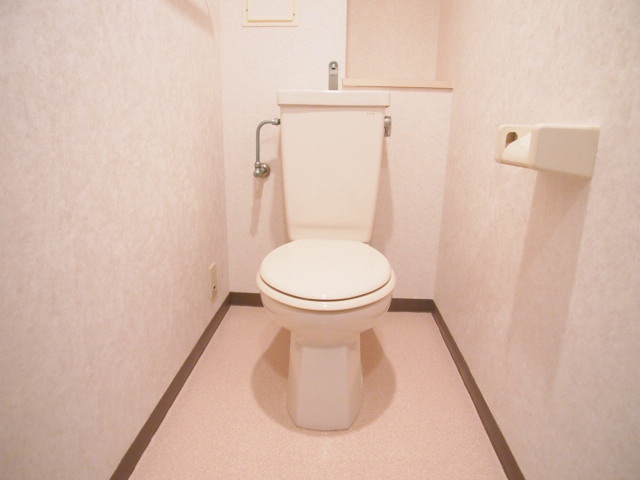Toilet. Clean toilet white keynote. 