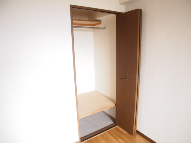 Other room space. It is furnishing a large closet. 