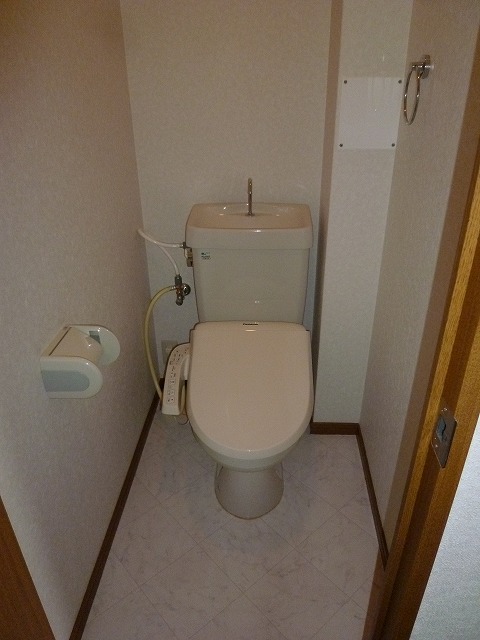 Toilet. There is also a bidet! 