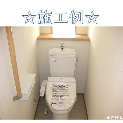 Toilet. Interior construction cases!