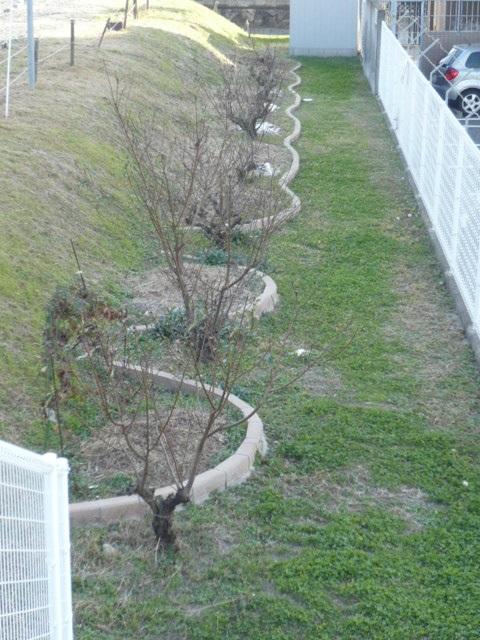 Garden. Or home garden are you feeling?